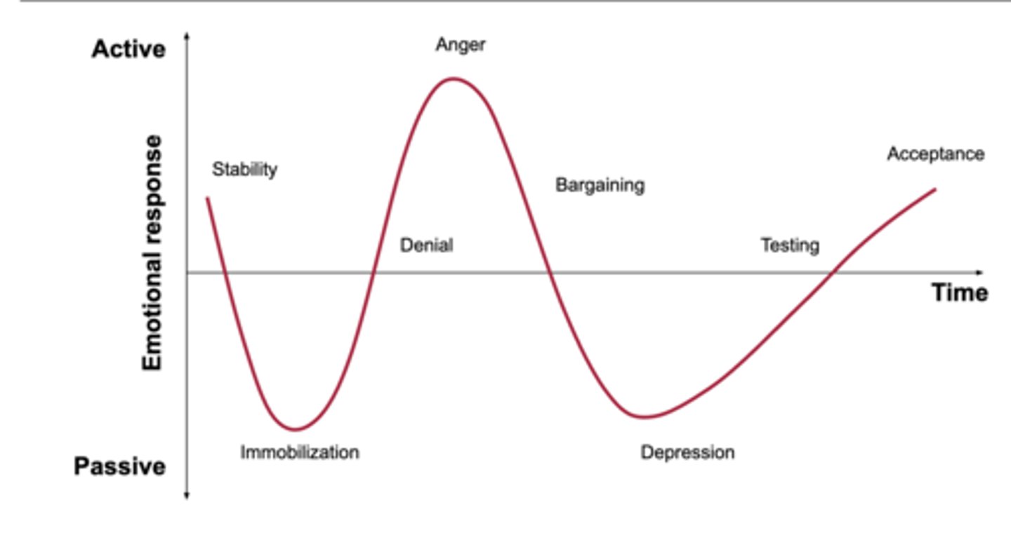 <p>feeling of loss of control or helplessness</p><p>withdrawn, no energy</p><p>makes few demands</p><p>when the situation can no longer be ignored</p><p>person grieves for themselves</p>