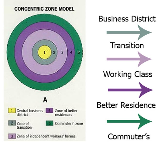 <p>A structural model of the American central city that suggests the existence of five concentric land-use rings arranged around a common center.</p>