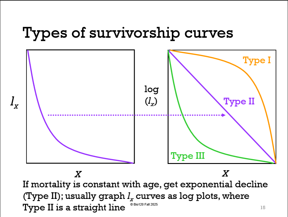 <p>False lx declines with x</p>