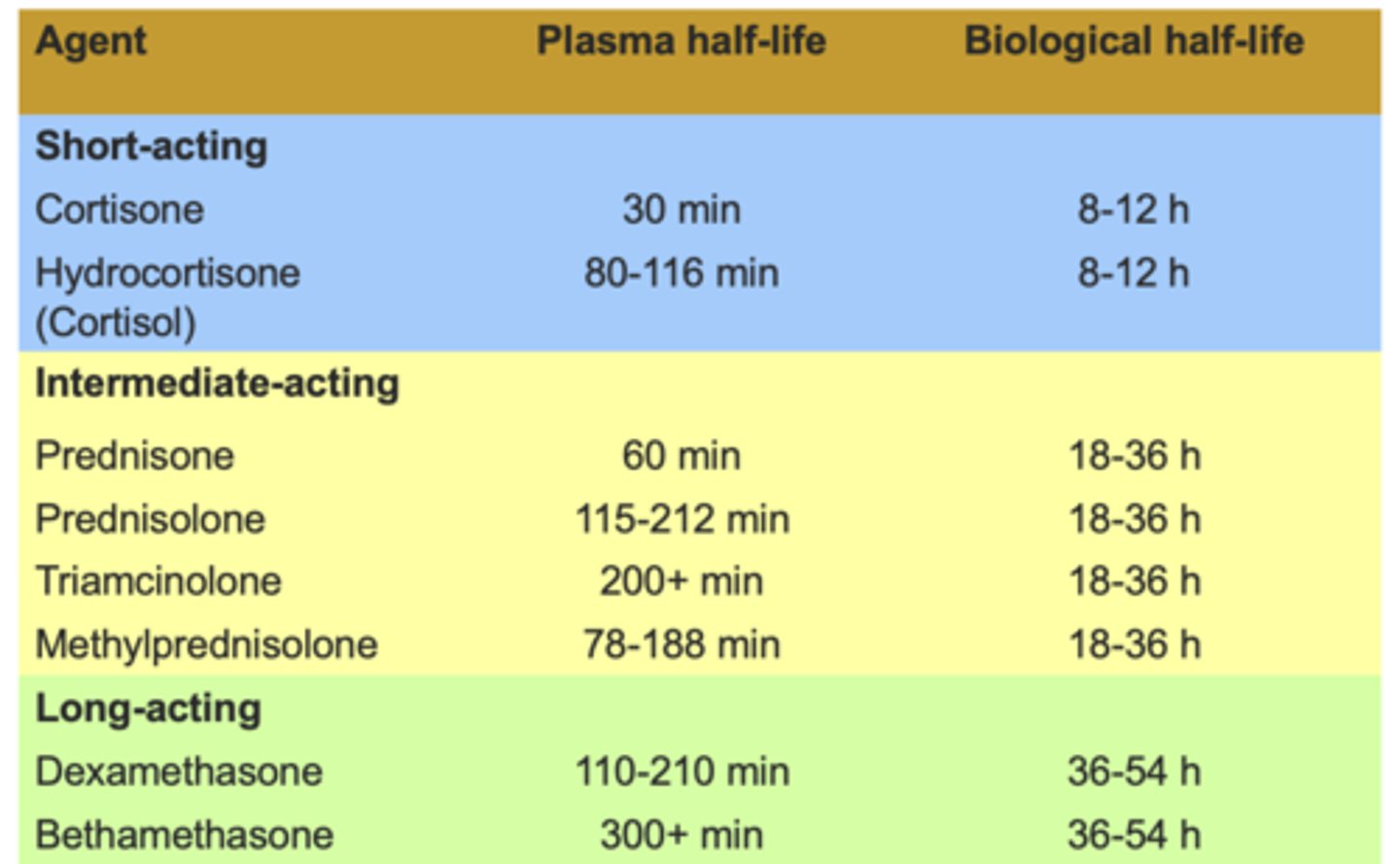 <p>Pharmacokinetics (PK)</p>