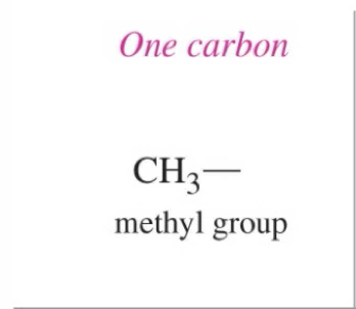 <p>methyl group - one carbon</p>