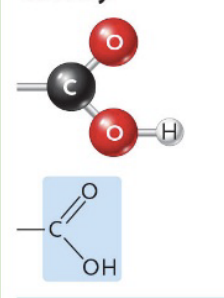 <p>Carboxyl</p>