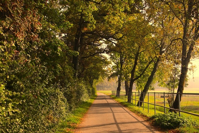 <p>afternoon</p>