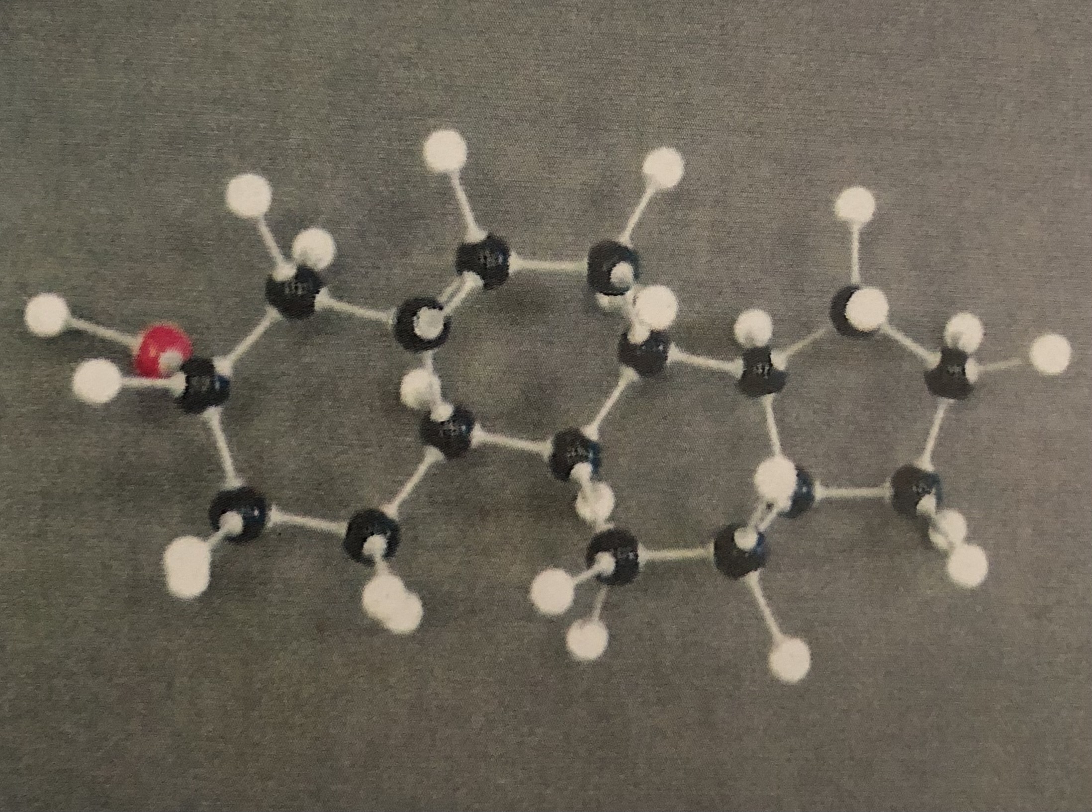 <p>4 Carbon Rings</p>