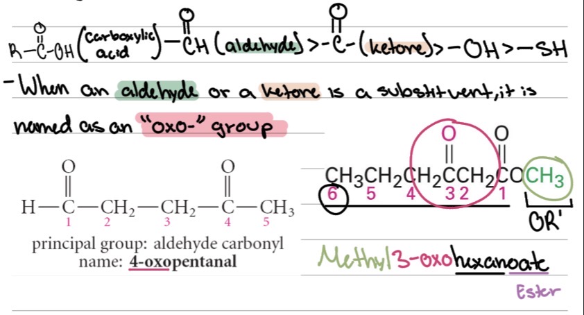 <p>an “oxo-” group</p>