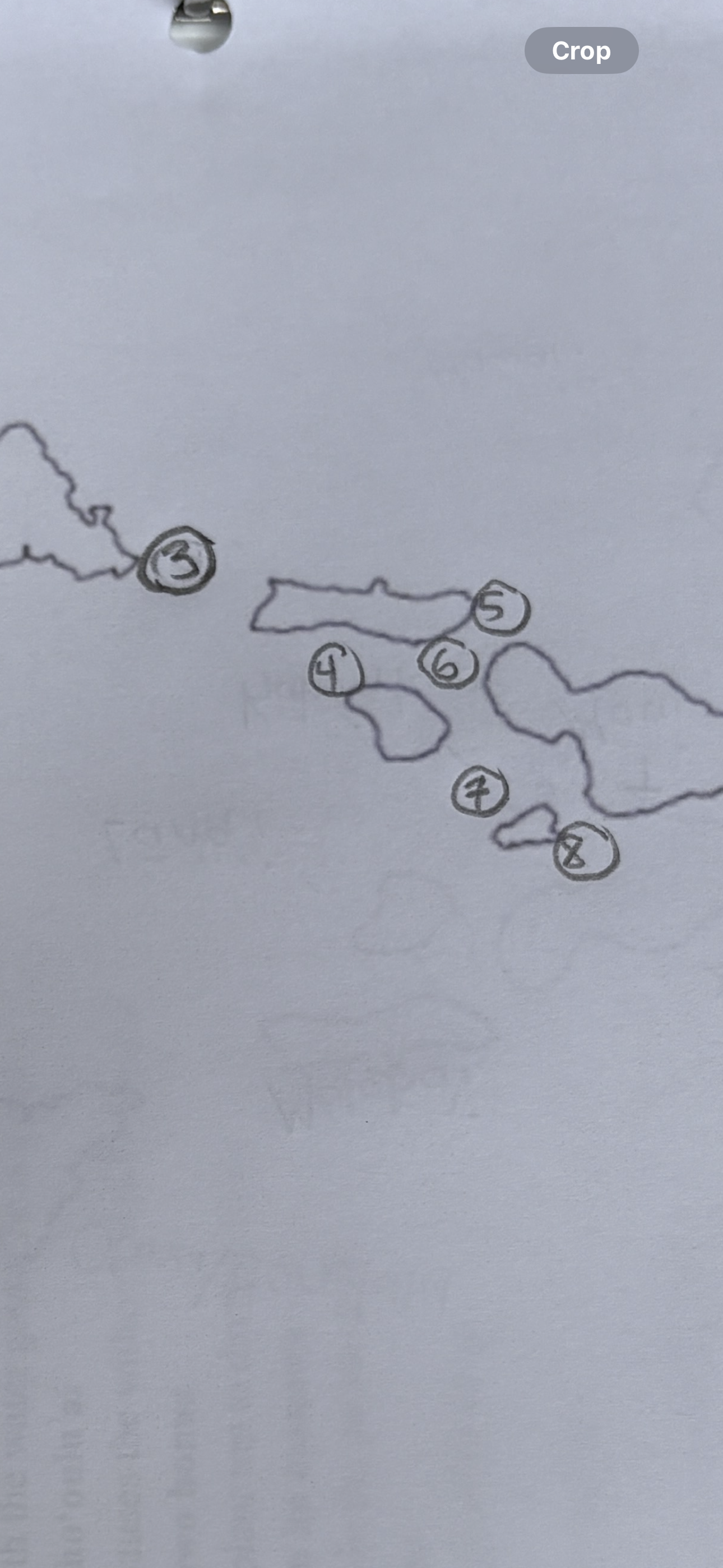 knowt flashcard image