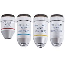 <p>Objective Lenses</p>