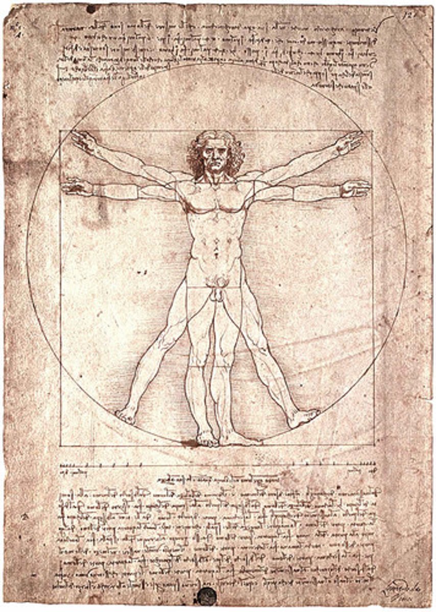<p>firmness, commodity, and delight, vitruivian figure</p>