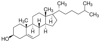 <ul><li><p>A precursor in the synthesis of biomolecules or other steroids</p></li><li><p>Provides fluidity and permeability to the structure of cell membranes</p></li><li><p>The hydroxyl group interacts with the polar head groups of phospholipids in the membrane</p></li><li><p>The non-polar rings and hydrocarbon chain interact with the hydrophobic tails of the phospholipid bilayer.</p></li></ul>