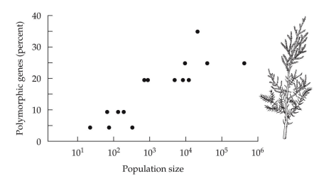 * % polymorphic loci
* alleles per locus
* % heterozygosity