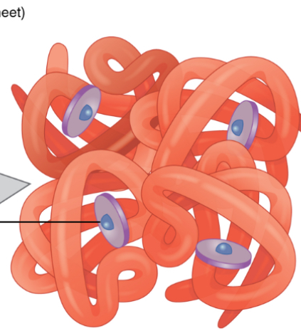 <p>What is this?</p>