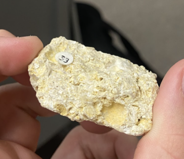 <p>Almost feels like a fossil, Shiny sand color, <strong>Sedimentary</strong>, Reminds me of a sea shell</p>