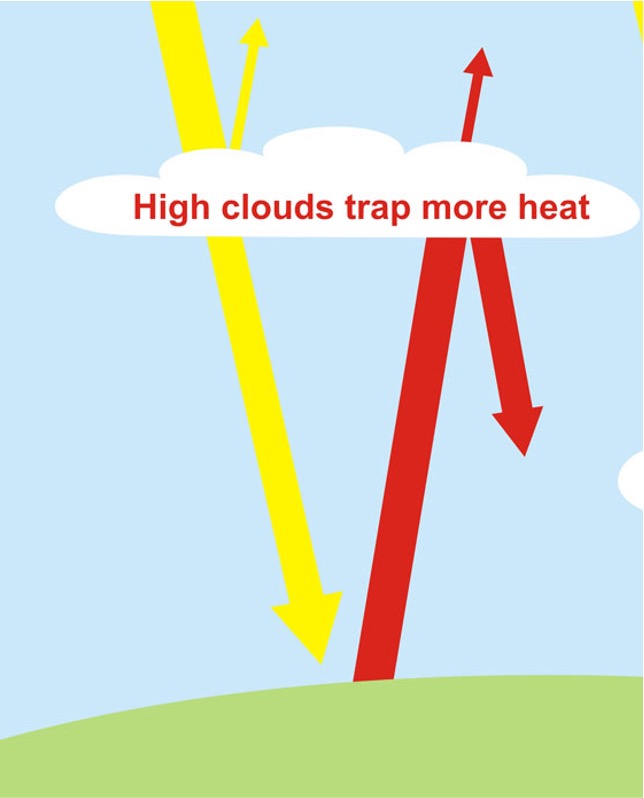 <p>False - high clouds trap more heat.  They allow light through but are slow to release heat into space, thereby causing more warming.</p><p></p>