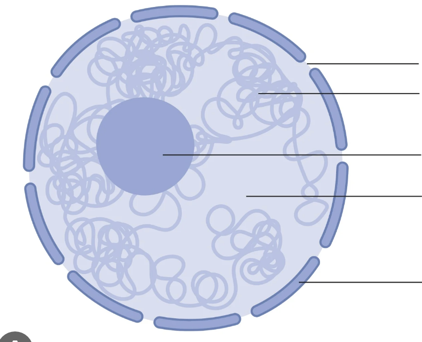 <p>Label the diagram</p>
