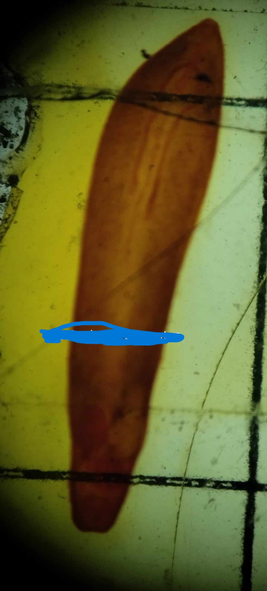 term image