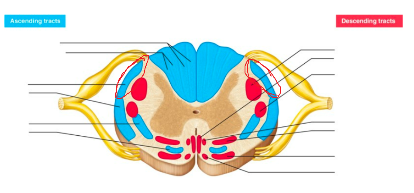<p>what tract is this</p>