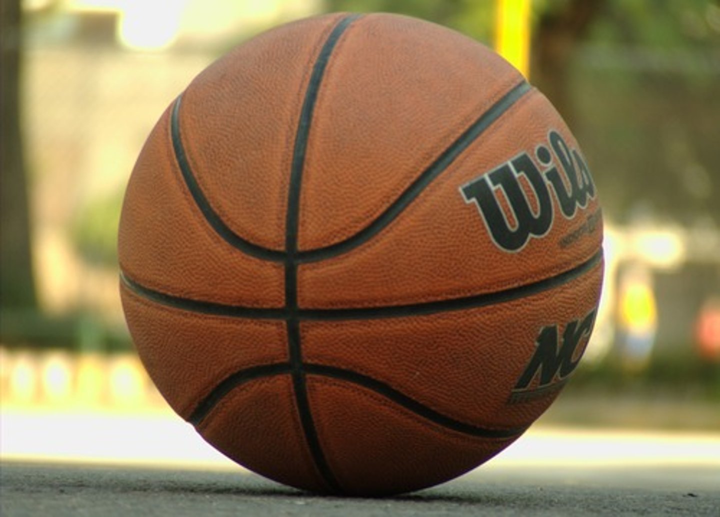<p>ball (basketball)</p>