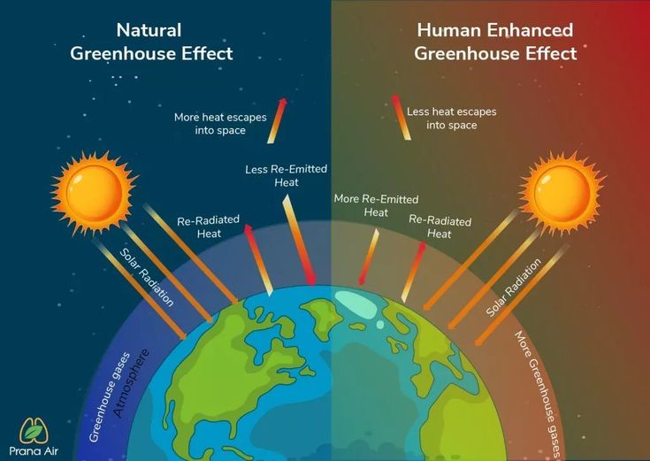 <p>What is greenhouse effect and what are greenhouse gases?</p>