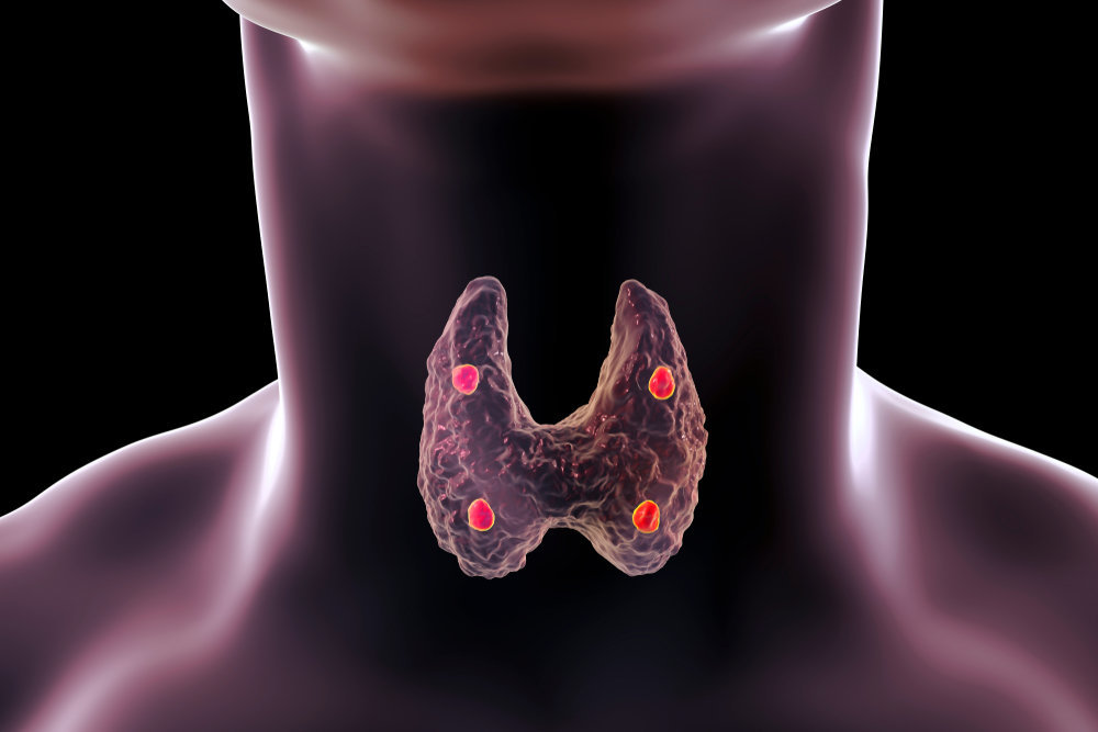 <p>The ****__ is a small endocrine gland located behind the thyroid gland that regulates calcium levels in the blood and bone metabolism.</p>