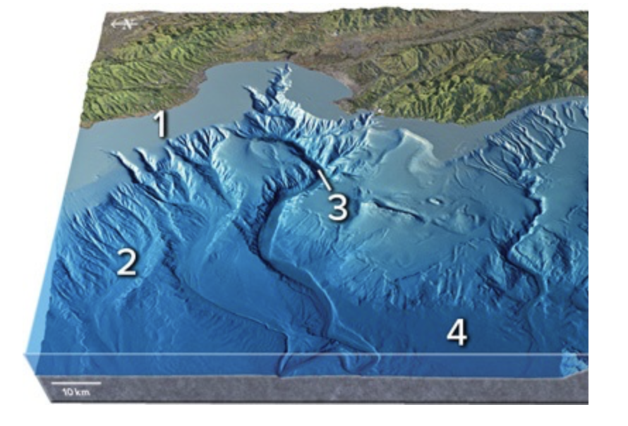<p>Which of the numbered feature on this figure is a continental shelf?</p>