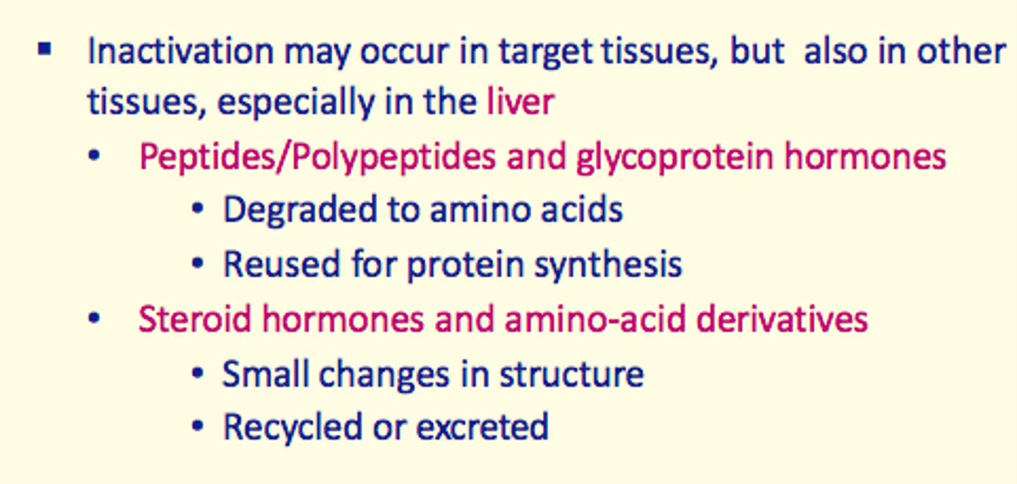 <p>- Small changes in their structure</p><p>- Recycled or excreted</p>