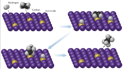 <p>binding of a reactant molecules to the catalyst surface; absorbed species are very reactive; molecules are absorbed onto active sites on the catalyst surface</p>