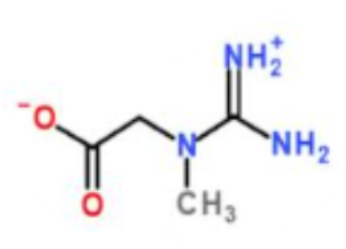 <p>What is this a picture of?</p>