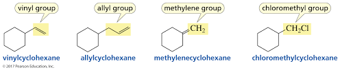 <p>Group attached adjacent to double bond</p>