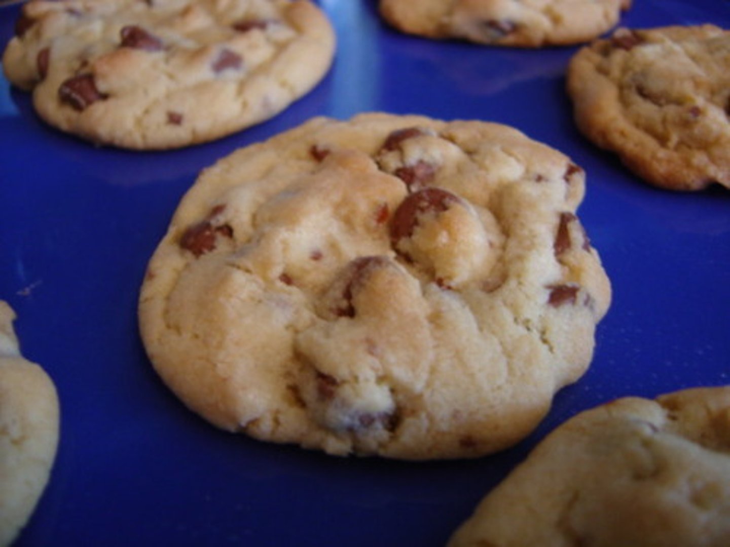 <p>cookie</p>