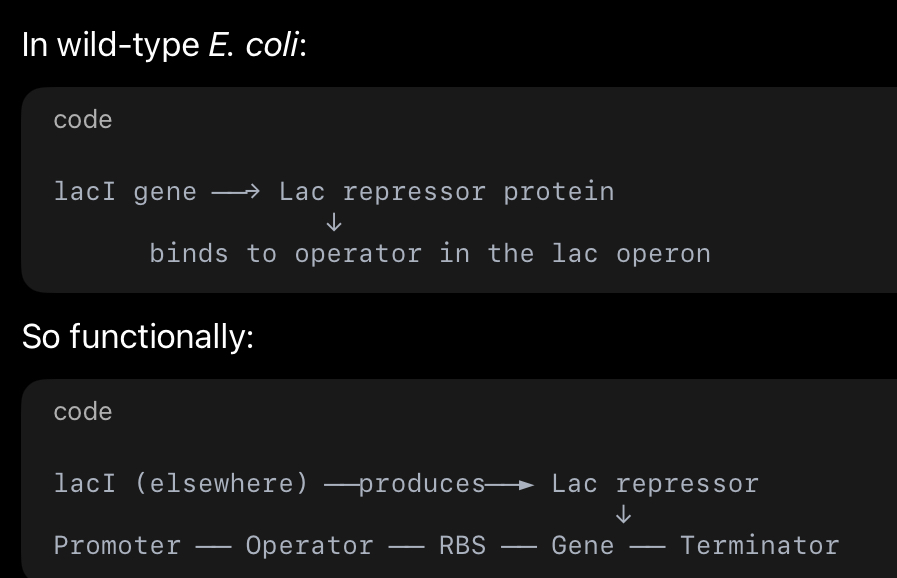 <p>Promoter ── Operator ── RBS (Shine-Dalgarno) ── AUG ── Gene ── Terminator</p><p></p><p>In an expression system, the plasmid vector already contains the regulatory DNA elements required for gene expression, including a promoter, operator, ribosome binding site, and terminator. When a foreign gene is inserted into the multiple cloning site, it becomes part of this operon-like expression cassette, allowing the host bacterial RNA polymerase to transcribe it under controlled conditions once the plasmid is inside the cell.</p><p></p><p><span><strong>The lac operon process (step by step)</strong></span></p><p><span><strong>1) “OFF” state (no lactose / no inducer)</strong></span></p><ul><li><p><span>The cell has LacI repressor protein (made from lacI gene elsewhere).</span></p></li><li><p><span>Repressor binds the operator DNA sequence.</span></p></li><li><p><span>With the repressor sitting there, RNA polymerase can’t properly transcribe the downstream gene(s) (it’s blocked or can’t proceed).</span></p></li><li><p><span>Result: little to no mRNA is made → little to no protein from that gene.</span></p></li></ul><p></p><p><span><strong>2) “ON” state (lactose present / IPTG added)</strong></span></p><ul><li><p><span>Lactose enters the cell (or IPTG is added in lab).</span></p></li><li><p><span>Lactose is converted to allolactose (the true natural inducer) which binds LacI repressor</span></p></li><li><p><span>LacI  repressor changes shape and releases the operator.</span></p></li><li><p><span>Now RNA polymerase binds the promoter and transcribes through the gene → mRNA is produced.</span></p></li><li><p><span>The mRNA contains the RBS (Shine–Dalgarno) and then AUG, so the ribosome binds and translation starts.</span></p></li><li><p><span>Translation continues until a stop codon.</span></p></li><li><p><span>Transcription stops when RNA polymerase hits the terminator DNA sequence.</span></p></li><li><p><span>Result: protein is made (your cloned gene is expressed).</span></p></li></ul><p></p><p><span><strong>3) When inducer is removed</strong></span></p><ul><li><p><span>Repressor can bind operator again → system goes OFF again.</span></p></li></ul><p></p><p><span>In bacteria, mRNA does NOT “go to” the ribosome.Ribosomes bind to the mRNA while it is still being made.</span></p><p></p><p><span>Everything downstream of the promoter — including the SD sequence — is copied into RNA.</span></p><p></p>