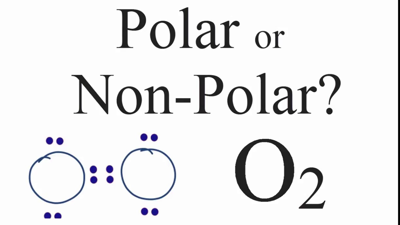 <p>Why is Oxygen Gas (O2) Nonpolar?</p>