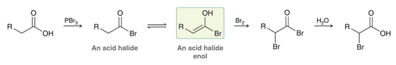<p>carboxylic acid reacts with PBr3 → forms acid halide</p><p>acid halide exists in equilibrium with enol</p><p>enol functions as nucleophile, undergoes halogenation at alpha position</p><p>hydrolysis regenerates carboxylic acid</p>
