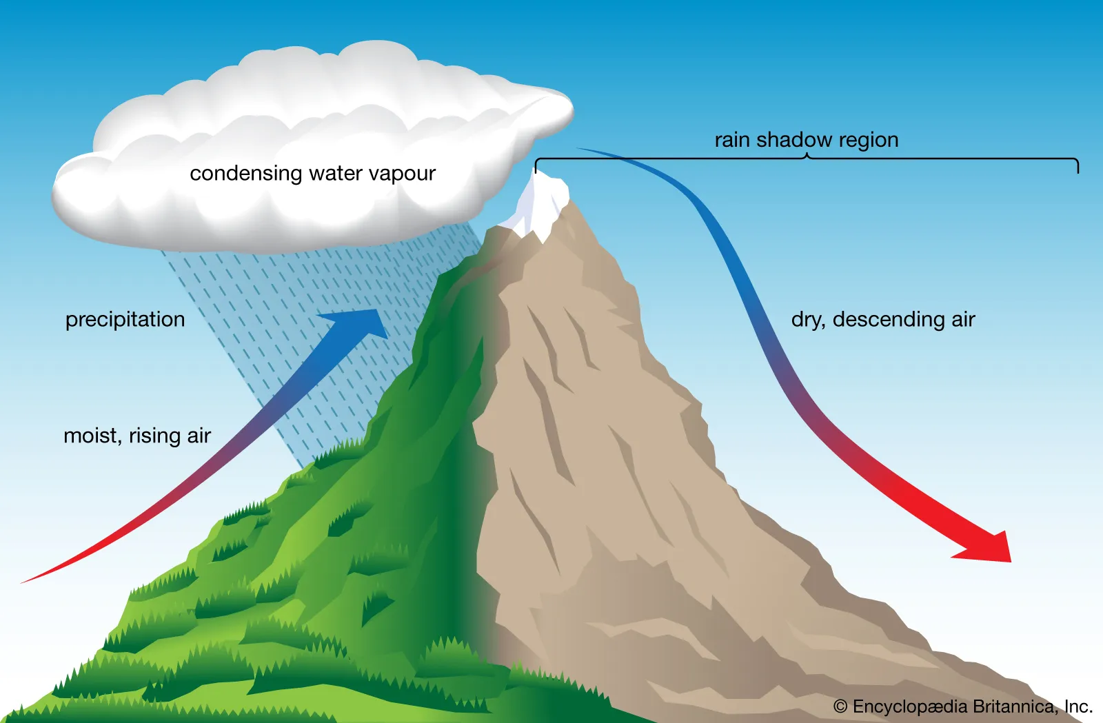 <p>Occurs when moist air is forced to rise over elevated terrain, such as mountains. As the air rises, it cools and condenses, forming clouds and eventually leading to precipitation. This process is similar to how air cools when it rises and forms clouds in a hot air balloon. So, orographic precipitation is like rain or snow that happens when air is forced to go up over mountains.</p>