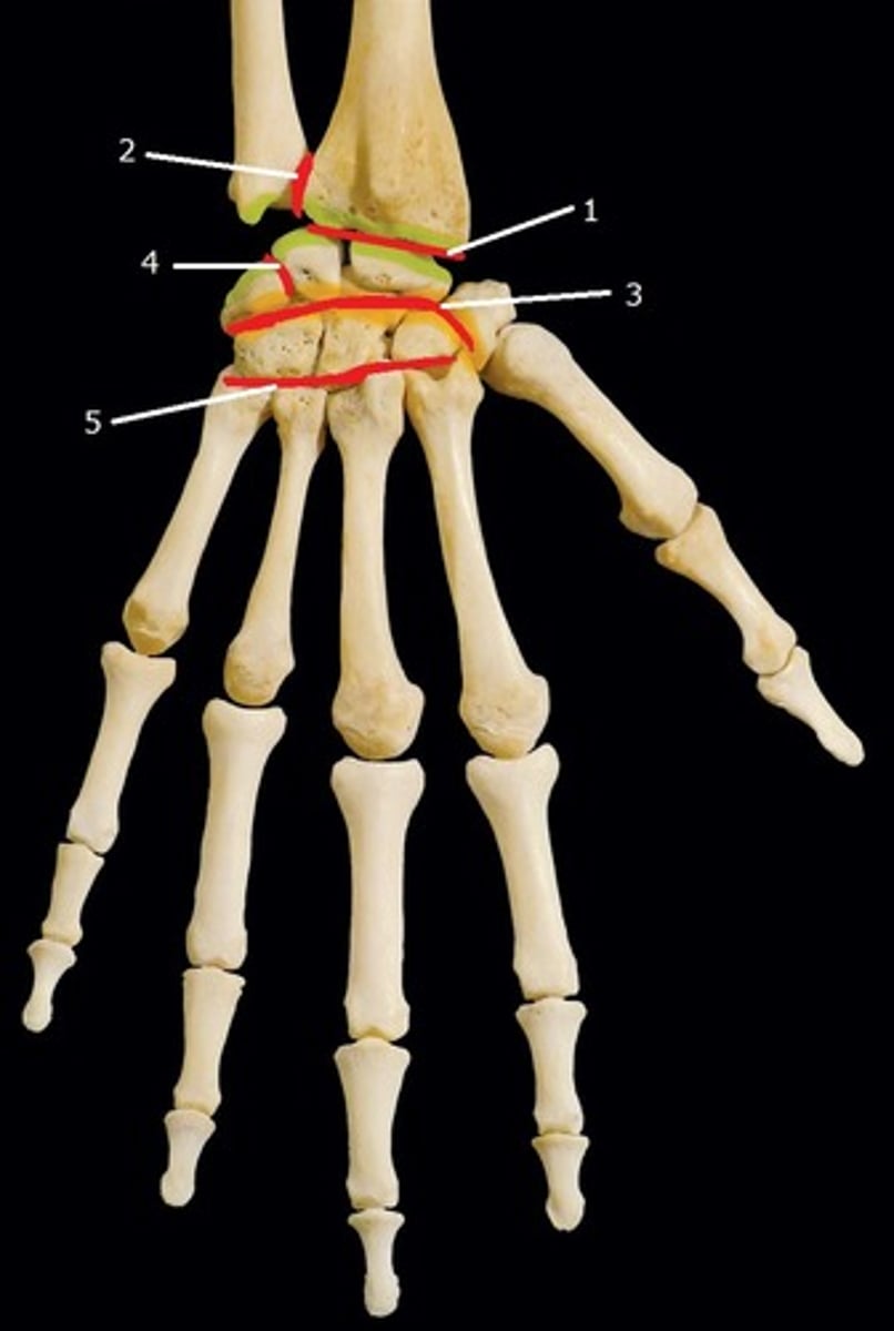 <p>2</p>