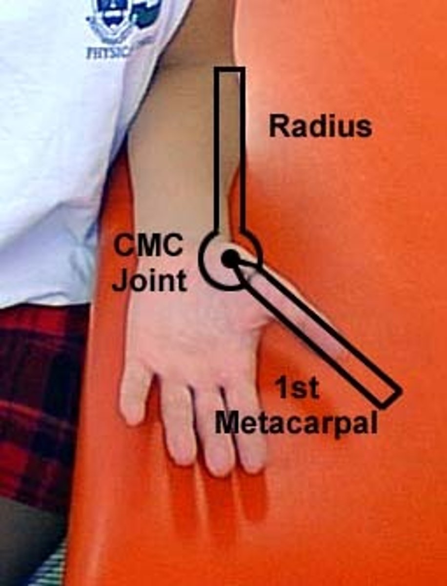 <p>fulcrum: palmar surface of 1st CMC joint/scaphoid<br>proximal: ventral midline of radius (radial styloid process for reference)<br>distal: ventral midline of 1st MC<br><br>* hand resting on table with palm facing up = SUPINATED<br>* STARTING WONT BE AT ZERO</p>