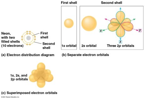 <p>Electron orbital</p>