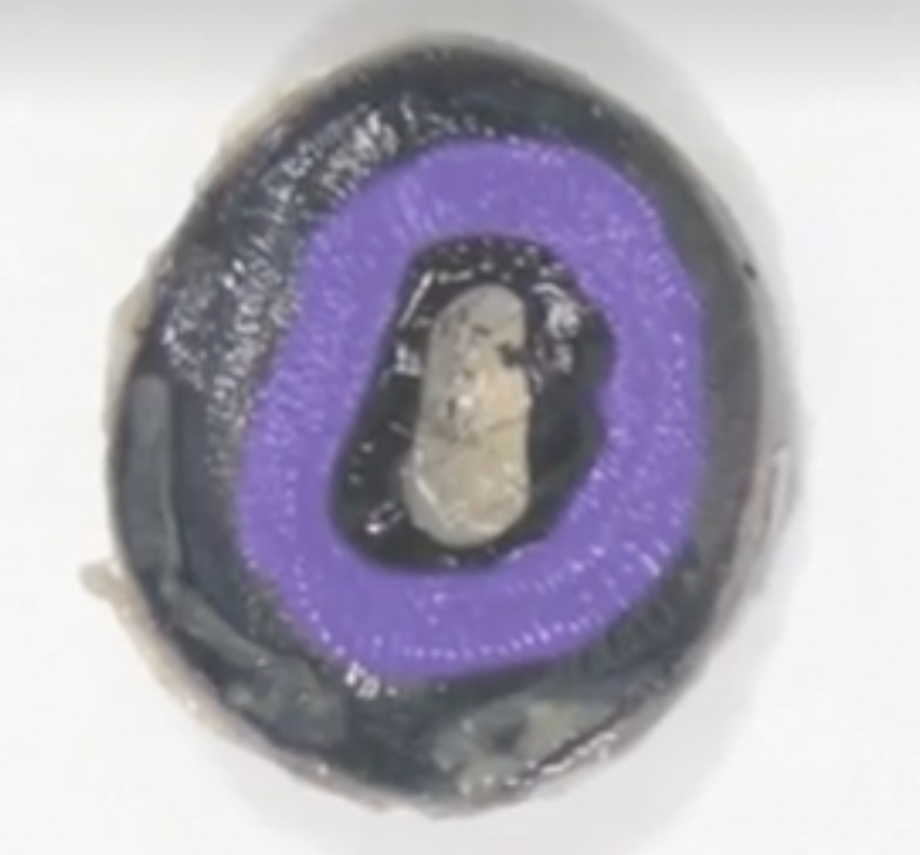 <p>helps to anchor the lens in place</p>