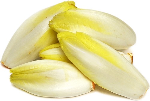 small and cylindrical, with a white layering base and a yellow-green top. The bottom-inside is white.