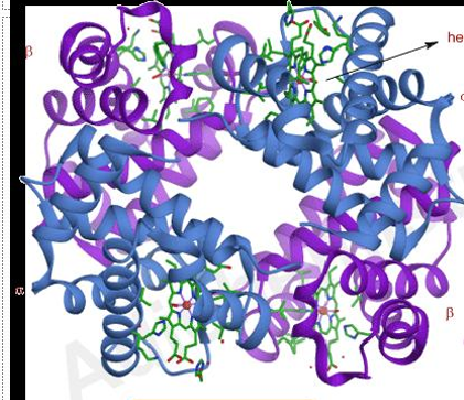 <p>what is this</p>