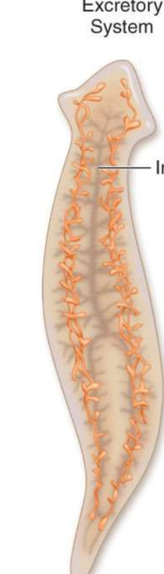 <p>What is the arrow pointing to?</p>