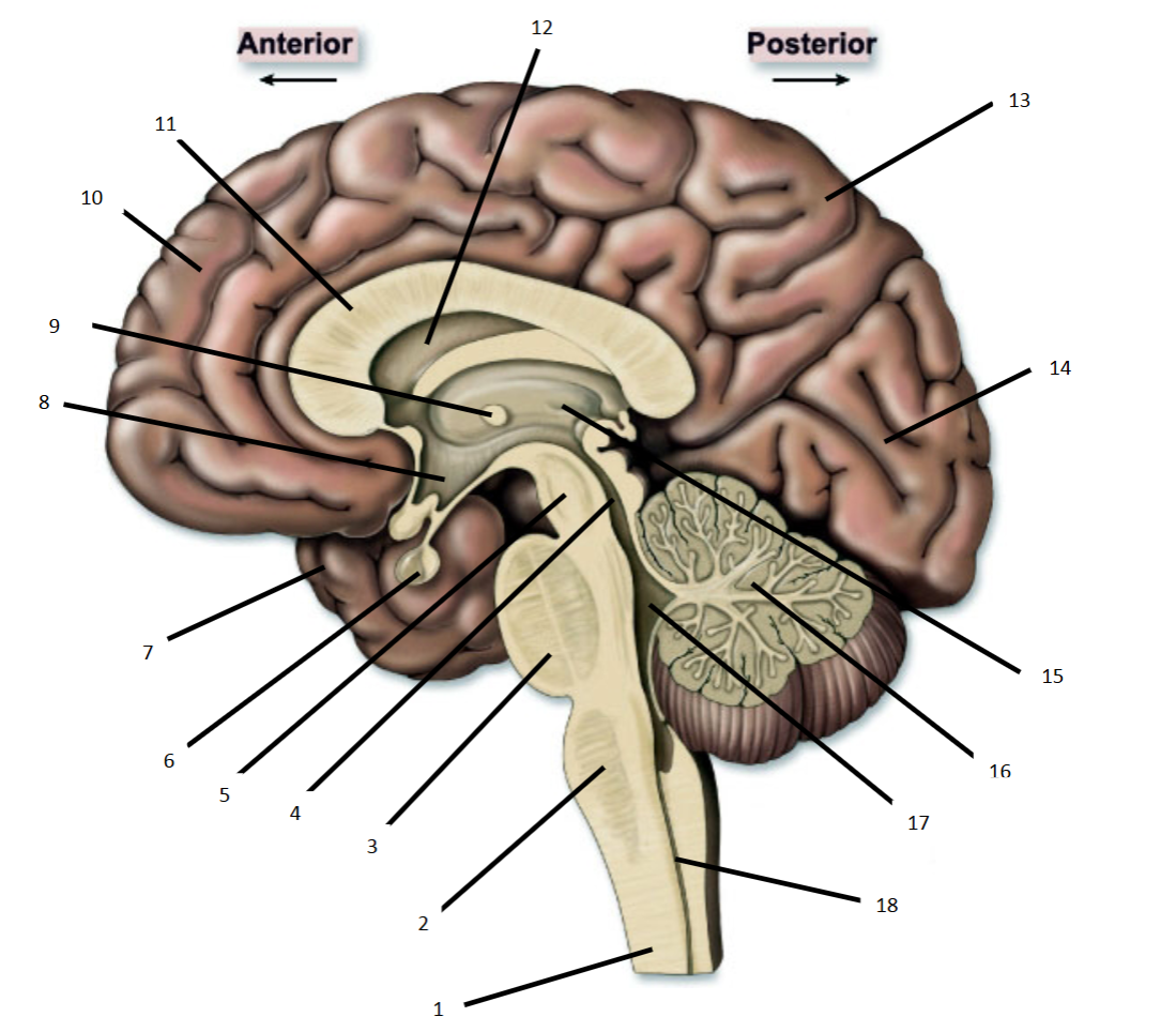 <p>8</p>