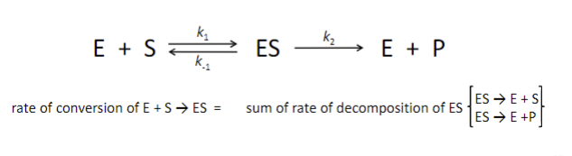 <p><span style="font-family: sans-serif">• G.E. Briggs &amp; Haldane (1925)</span><br><span style="font-family: sans-serif">• when enzyme  mixed with large excess of substrate, there’s initial period where conc of ES builds up</span><br><span style="font-family: sans-serif">• period of time too short to observe (microseconds)</span><br><span style="font-family: sans-serif">• reaction quickly reaches steady state where [ES] remains constant</span><br><span style="font-family: sans-serif">•rate of ES formation = rate of decomposition</span><br><span style="font-family: sans-serif">• initial velocities, </span><span style="font-family: serif">v</span><span style="font-family: sans-serif">0 , reflect steady state</span><br><span style="font-family: sans-serif">• analysis of initial velocities reflect steady state kinetics</span><br><span style="font-family: sans-serif">• steady-state approx is valid condition for metabolic rxns in cells</span></p>