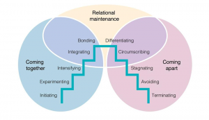<p>Knapp’s Stages of Romantic Relational Development</p>