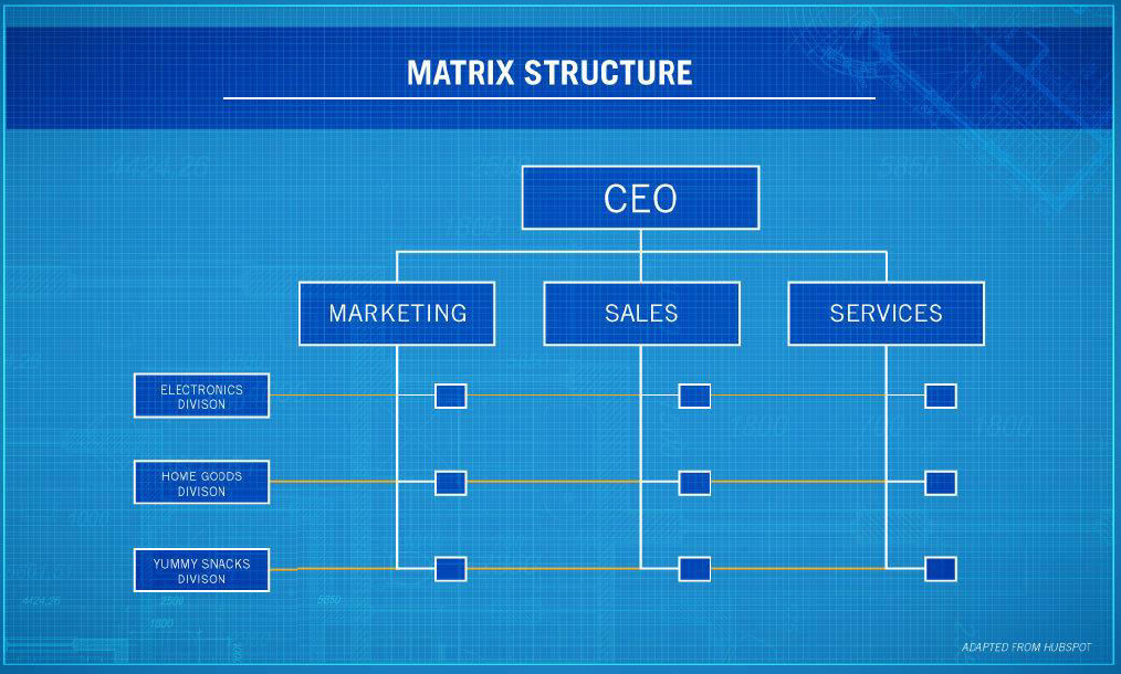 <p>Matrix Internal Organization</p>