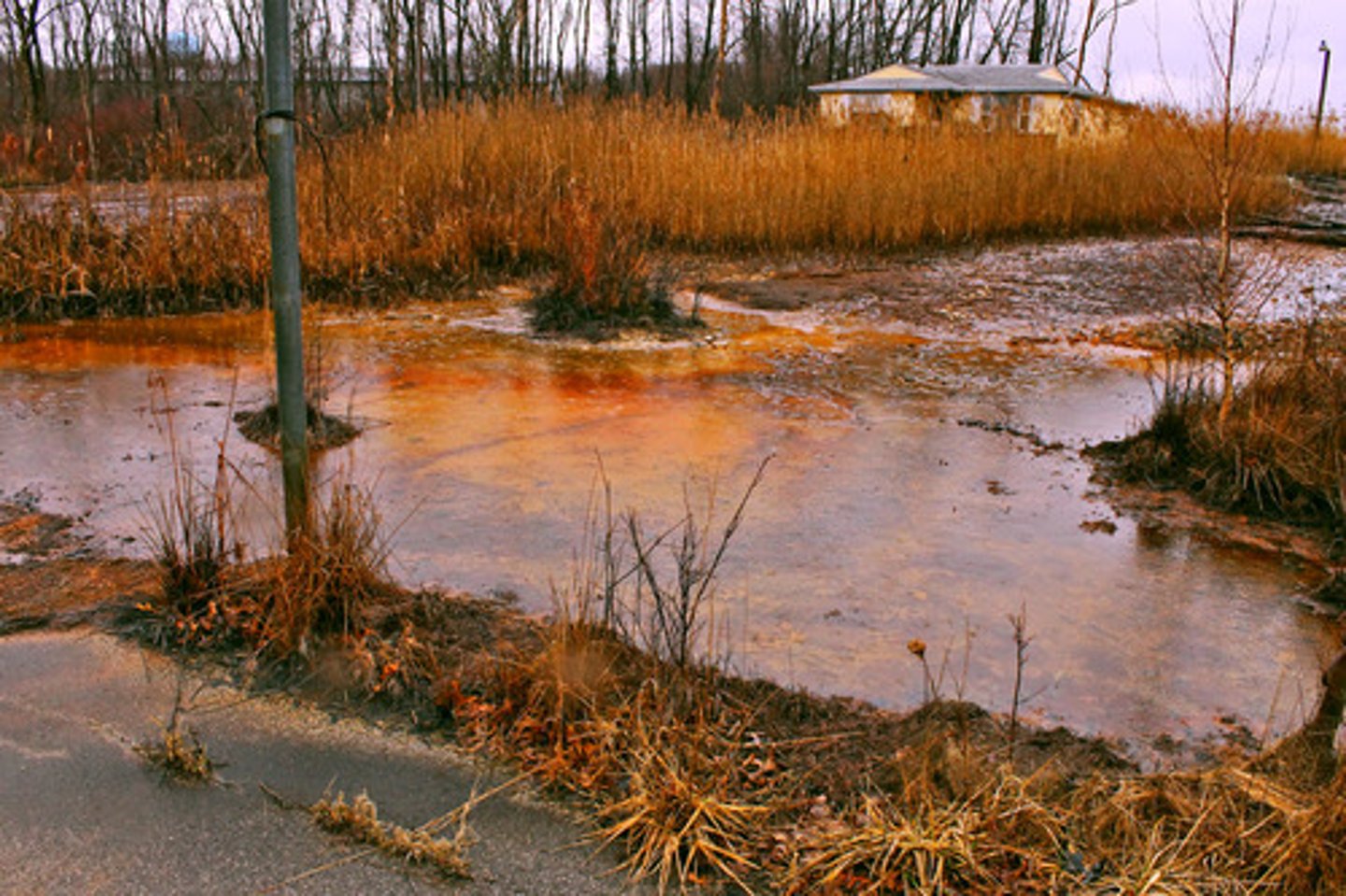 <p>outflow of acidic water from (usually abandoned) metal mines or coal mines,</p><p>Sources:</p><p>mines</p><p>Effect:</p><p>lowers PH</p><p>leaches metals from soil</p><p>kills plants and animals</p>