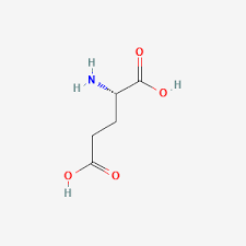 <p>glutamic acid (glu)</p>