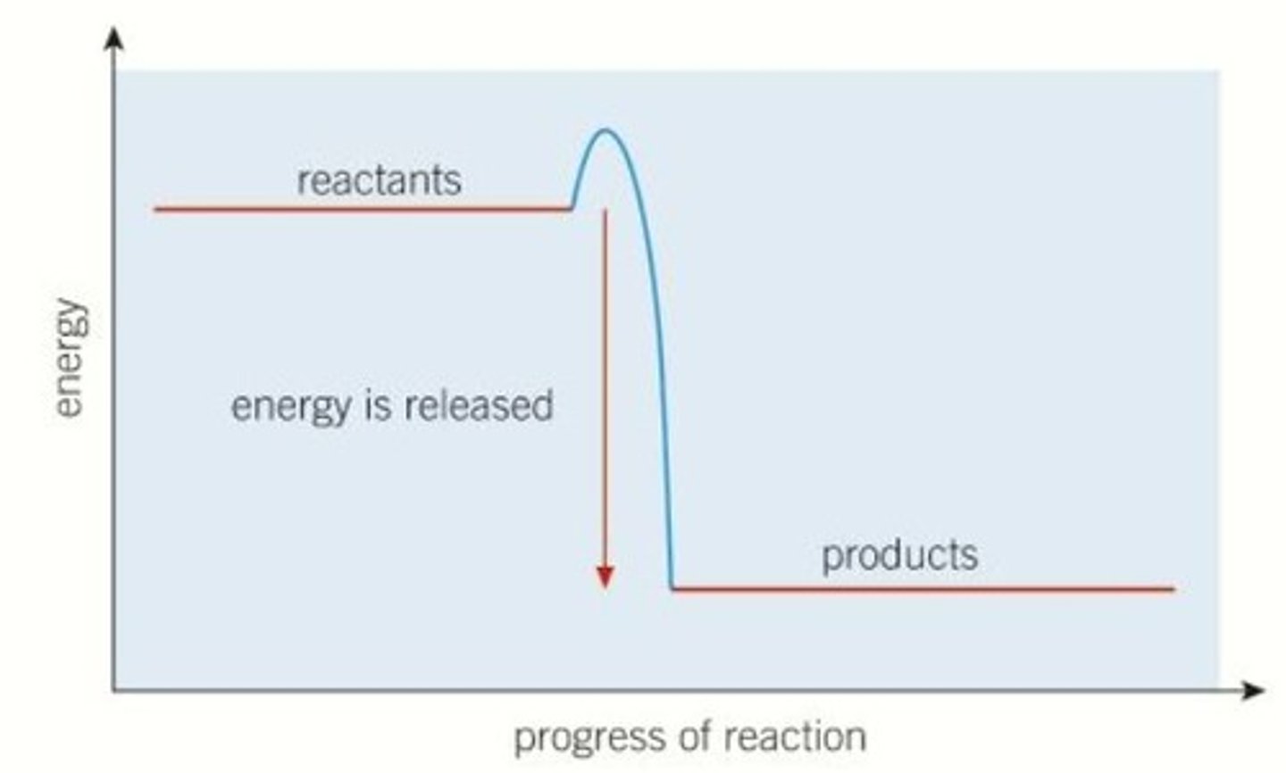 <p>Exothermic</p>