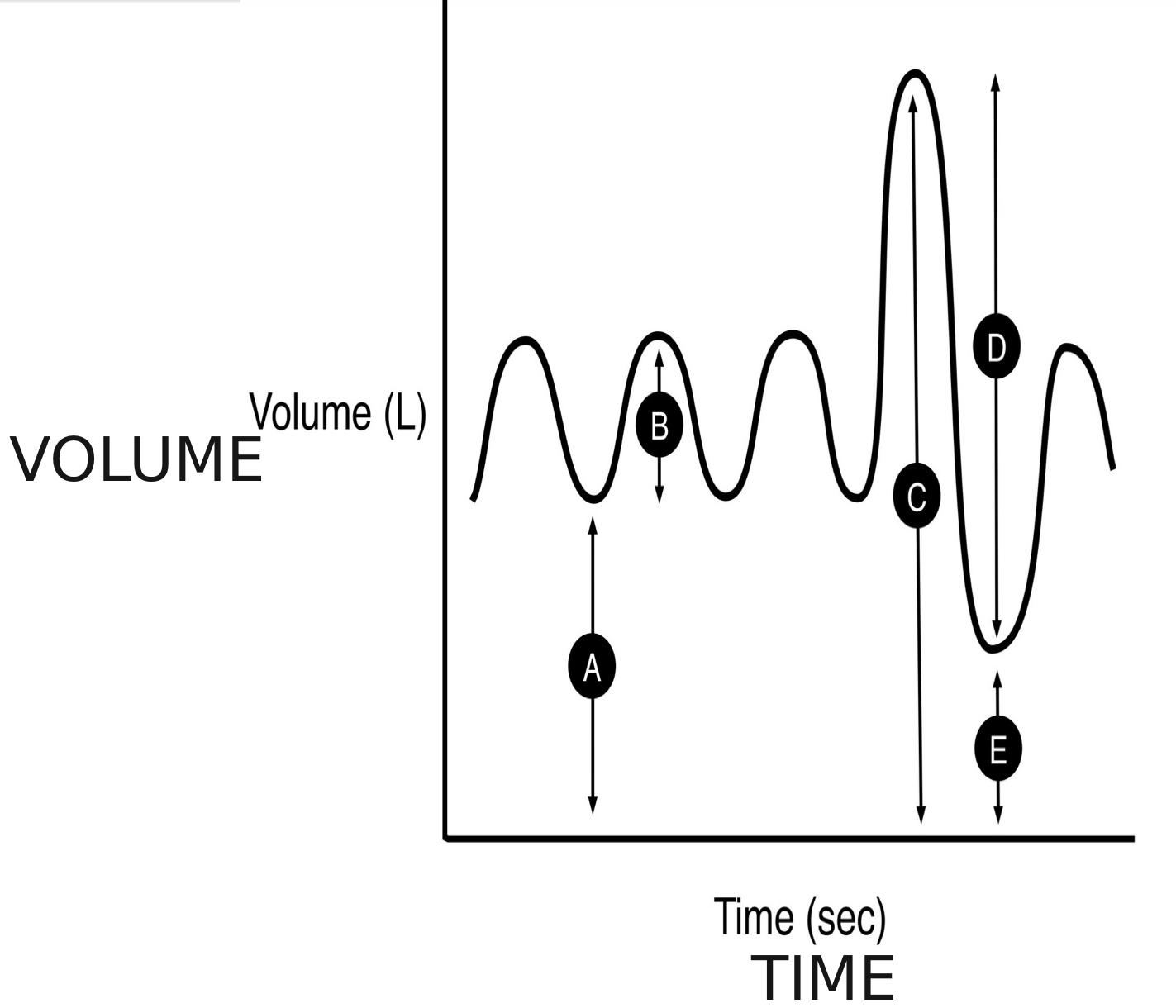 <p>is a graph that shows the volume of air a person breathes in and out over time</p>