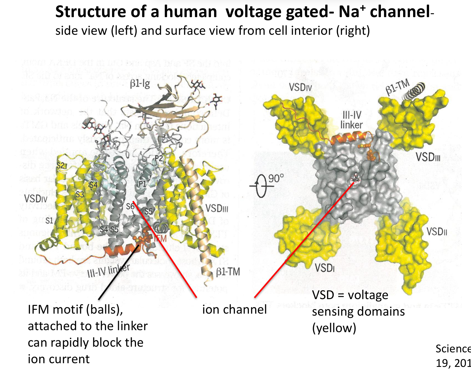 <p>string of aas that block the channel</p>