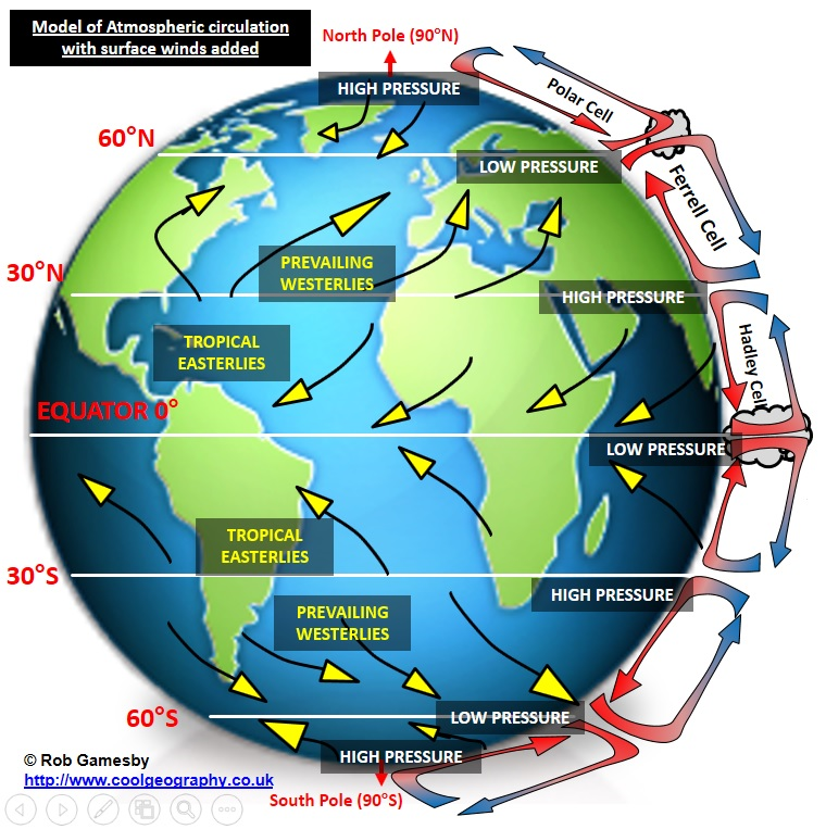 <p><span>The Earth’s atmosphere is in constant motion and is driven by the energy received from the sun.</span></p><p>The air moving around the globe does so because we get more energy in tropical areas and less at the poles. Air movements or winds help to balance this out. They do so according to the model below.</p><p>Most insolation arrives between the 2 Tropics. This causes air to rise from the surface UP through the atmosphere in thermals at the Inter Tropical Convergence Zone (ITCZ).&nbsp; This creates huge cumulonimbus clouds as the air cools, Tropical storms with low pressure occur here. As the air heads North and South it cools and then sinks back down to the surface at approximately 30°N &amp; S giving HIGH pressure. This goes back to the Equator as the TRADE winds or tropical easterlies. Two further cells exist further North and South.&nbsp; These cells are called the Hadley, Ferrel and Polar cells, giving 6 in total (3 in either hemisphere).</p><p>• Where air is sinking in the model this gives high pressure.&nbsp; These areas coincide with many of the earth’s deserts and dry areas as the air is sinking so little condensation occurs as the air warms.&nbsp;</p><p>• Where air is rising in the model this gives low pressure.&nbsp; These areas coincide with wetter areas with lush vegetation as air cools as it rises, allowing water vapour to condense to droplets allowing more rain.&nbsp;</p><p>• WINDS occur because air molecules move from areas of high pressure to areas of low pressure.</p><p>The model is disrupted by mountain ranges and differences between the land and sea.</p>